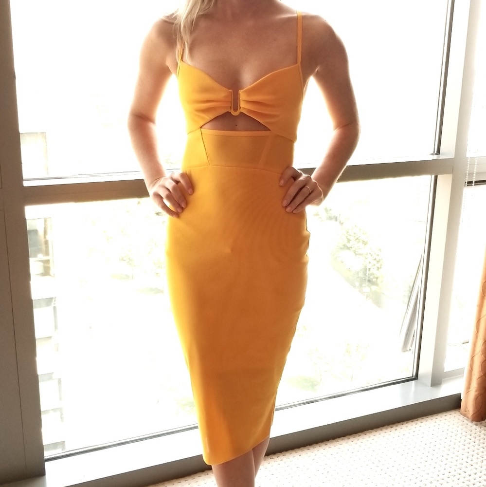 Tangerine Bec & Bridge Bodycon Dress - Size 2